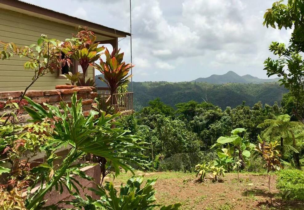Cabin Mountain View Near Ponce Slepts 8 Ngoại thất bức ảnh